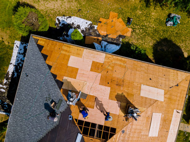 Best Roof Leak Repair  in Fobes Hill, WA