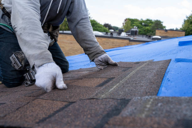 Best Roof Leak Repair  in Fobes Hill, WA