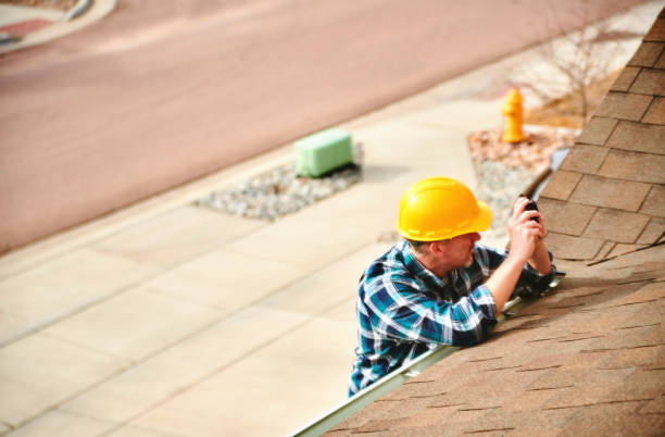 Roof Gutter Cleaning in Fobes Hill, WA
