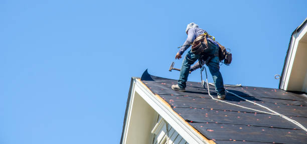 Best Roof Repair Specialists  in Fobes Hill, WA